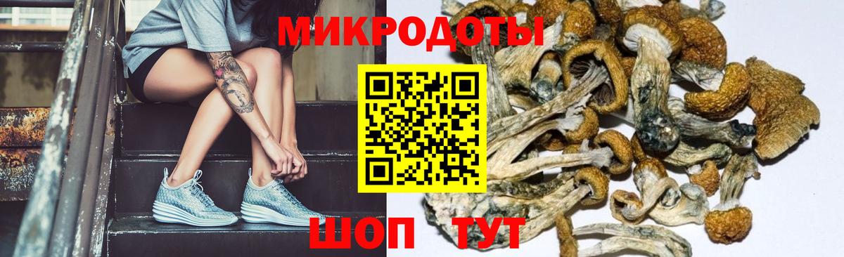 Алексин  Галлюциногенные грибы Psilocybine cubensis  где продают наркотики  Вход с VPN 